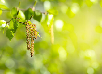 Vorsorgen ist besser als heilen